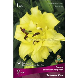 Лилия восточная махровая Экзотик Сан (желтый d 15 см) 1 шт Поиск